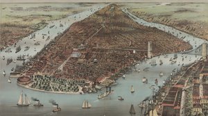 The City of New York