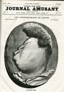 Cover of The Fun Journal by Nadar