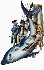 Opening the Stomach of a Shark by Nadir Quinto
