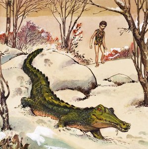 Peter Follows the Crocodile (illustration from 