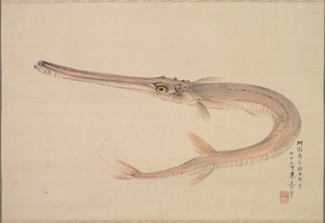 Needlefish (Yagara)