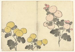 Stylized Yellow and Pink Flowers (Korin Prints Album) by Nakamura Hochu