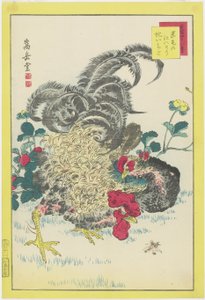 Rooster and Raspberries, June 1859