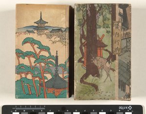 Foot Journey through the Kinai Region