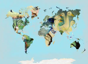A Bird World, 2016