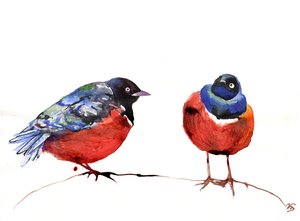 Chitchat, 2013