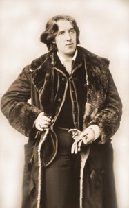 Oscar Wilde (1854 - 1900) Around 1882 (by Napoleon Sarony)