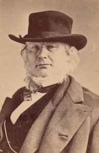 Portrait of Horace Greeley 1811-1872 by Napoleon Sarony