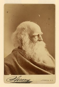 William Cullen Bryant by Napoleon Sarony