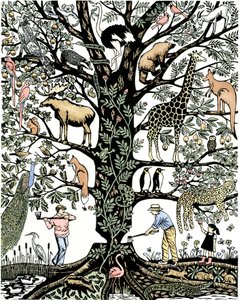 6th Mass Extinction by Nat Morley