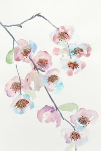 Delicate Pink Blossoms