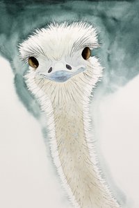 The Cheerful Ostrich from Africa by Natalie Bruns