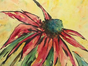 Vibrant Red Coneflower