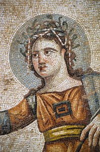 Roman mosaic in the villa House of Aion