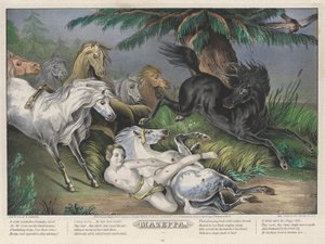 Mazeppa: Plate 3 of set of Four Plates (Surrounded by Wild Horses) by Nathaniel Currier
