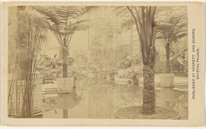 Trophies [Plant Growths, Interior at Crystal Palace] by Negretti and Zambra