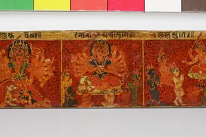 Detail (Devimahatmya manuscript cover)