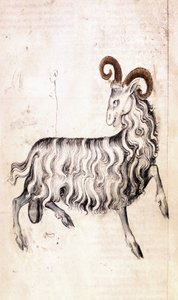The Zodiac Sign Capricorn by Netherlandish School