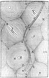 The Universe, from 