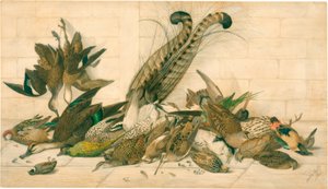 Untitled (Australian gamebirds) by Neville Henry Cayley
