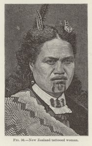 New Zealand Tattooed Woman by New Zealand School