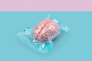 Brain, 2020 by Niccolò Fioriti