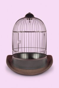 Mental Cage, 2020 by Niccolò Fioriti