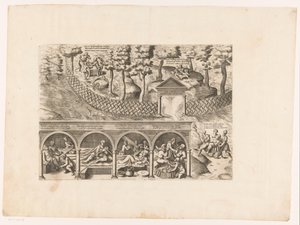 The Blessed Life of the Sloth Lipotopo by Niccolò Nelli