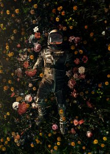 Cosmic Floral Dream