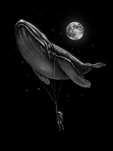 Cosmic Whale Ride by Nicebleed