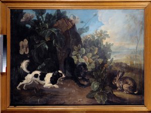 Two Dogs and a Rabbit