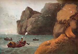 Puffin Shooting by Nichols and Merke
