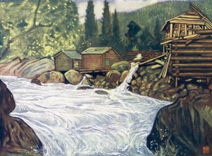 Norway: River at Haukeli by Nico Jungman