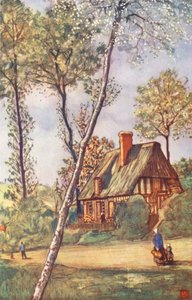 Rural Scene