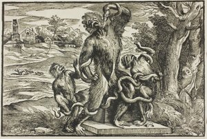 Laocoön by Nicolò Boldrini