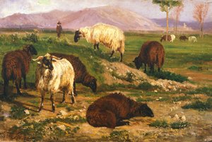 Grazing animals