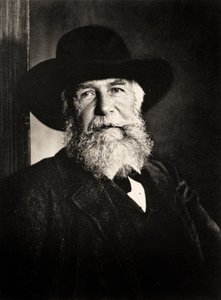Portrait of Ernst Haeckel, c.1910 by Nicola Perscheid