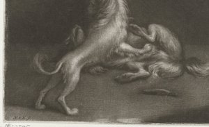 Two Playing Dogs by Nicolaas Verkolje