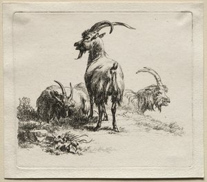 Animalia: Three Goats by Nicolaes Berchem