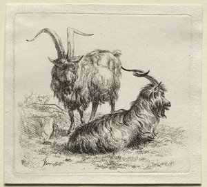 Animalia: Two Goats by Nicolaes Berchem