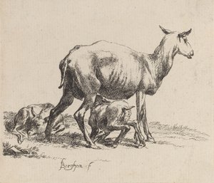 Ewe Nursing Her Lamb by Nicolaes Berchem