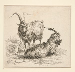 Goats by Nicolaes Berchem