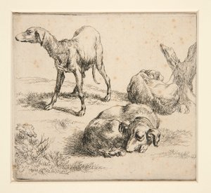 Three Hunting Dogs by Nicolaes Berchem