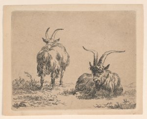 Two Goats by Nicolaes Berchem
