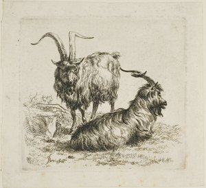 Two Goats with Large Horns (from Various Animals) by Nicolaes Berchem