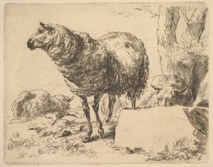 from The Set of Sheep by Nicolaes Berchem