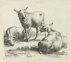 Three Sheep (Animalia ad vivum delineata et aqua forti aeri impressa Studio et Arte Nicolai Berchemi) by Nicolaes Pietersz Berchem