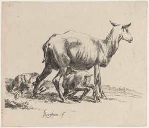 Ewe Nursing Her Lamb by Nicolaes Pietersz Berchem