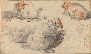 Sheep by Nicolaes Pietersz Berchem