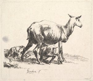 Sheep with Lamb Nursing by Nicolaes Pietersz. Berchem